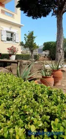 Jasmine Home, Aegina City - Image 3