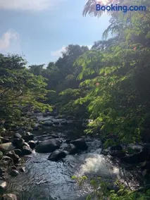 RíoBosque Cabañas de lujo frente al rio desayuno incluido san carlos antioquia - Image 4