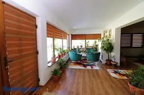 GreenMoodHouse - Image 4