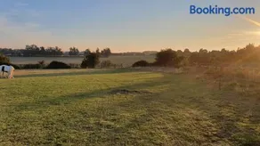 The Fox Pod at Nelson Park Riding Centre Ltd GLAMPING POD Birchington, Ramsgate, Margate, Broadstairs, also available we have the Pony Pod and Trailor Escapes converted horse box - Image 2