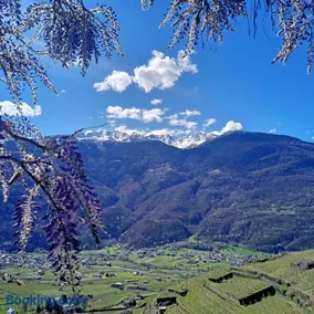 Casa il Glicine Valtellina - Image 3