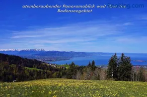 Mühlenhof - Image 1