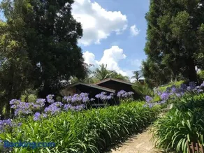 Lindo e aconchegante chalé com piscina, lareira e churrasqueira - Image 1