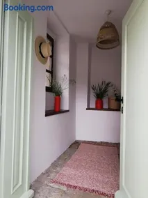 Salvia - Image 5