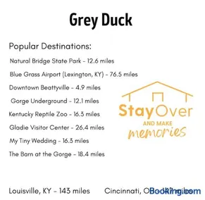 Grey Duck- Firepit, WiFi, Covered Deck, 20 mins from Natural Bridge - Image 1
