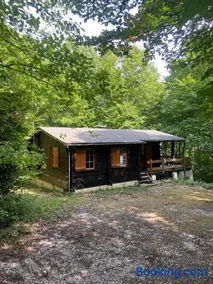 Refuge Nature - Chalet avec Terrasse vue forêt - Image 2