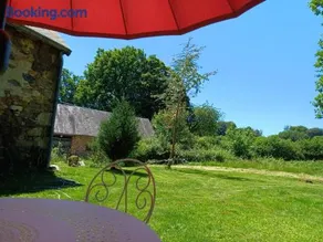 La petite Salamandre bleue - Image 2