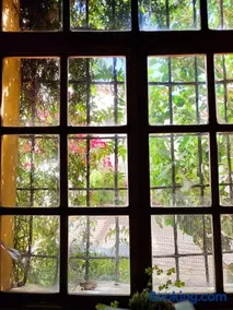 Casa Ramirez - Guest House - Image 2