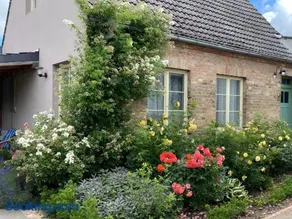 Cottage an der Müritz - großer Garten mit Pool - Außenküche und Grill - Kanus und Fahrräder kostenfrei - Image 1