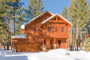 Gray Bear 454 - Image 1