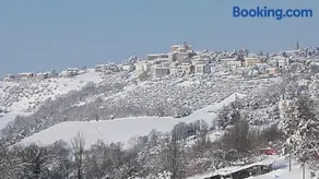 B & B Il Sicomoro - Image 4