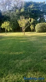 Nela - Image 2