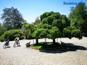 Herdade Clube Tiro Monfortinho - Image 5
