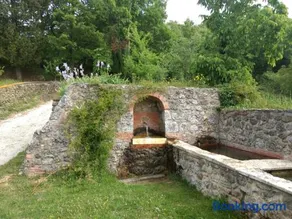 Podere Pancoli - Image 2