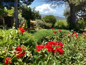 "MAS TRAMONTANE" Maison et Chambres d'hôtes avec vue sur le massif d'El Canigó - Image 1
