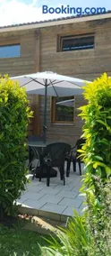 Buddleia - Image 2