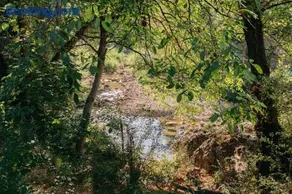 El Molí Nou - Rural flats - Image 4