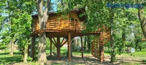 Tree Vill - Image 1