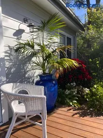 Palm Cottage Avalon Beach - Image 3