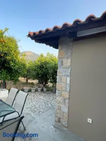 Citrus garden - Image 2