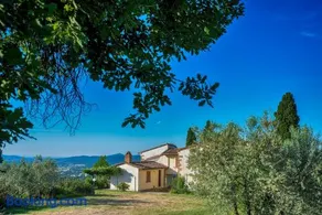 Castellina di Bocco - Image 5