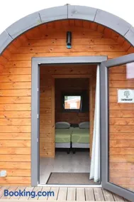 Pods & tonneaux du Haras d'Oakland - Image 5
