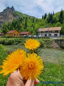 Pensiunea Cheile Șugăului - Image 1