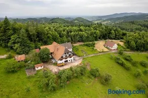 Grüner Ausblick - Image 1