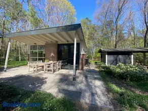 Ecolodge Bergzicht de Specht Luxe boshuis - Image 3