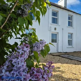 The Alpaca Farmhouse with hot tub and complimentary alpaca experience - Image 2