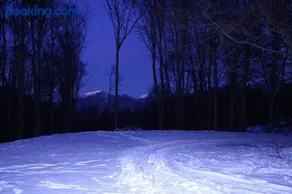 Residenza il bosco - Image 2