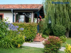 Casa Azul - Image 5