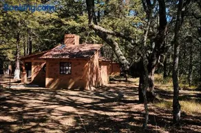 Parque La Mesita del oso bueno - Image 2