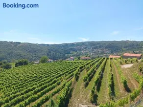 Quinta do Giz - Image 4