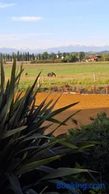 Domaine de la Cambre - Image 2