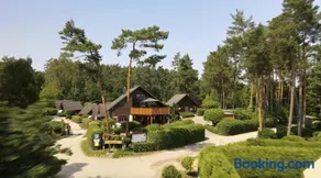 Feriensiedlung Kiefernhain - Image 2