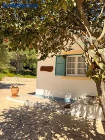 Nikoli Apartments - Image 3
