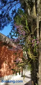 Chácara Recanto da Amizade em Bragança Paulista - Image 4