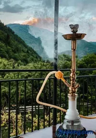 White House In Borjomi - Image 3