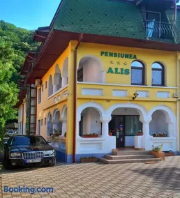 Pensiunea Alis - Image 1