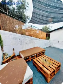 Sophia - Image 3