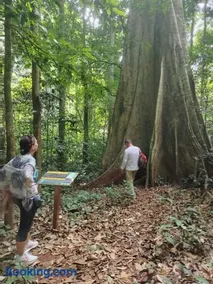 Camping phutajoy Khaosok แคมป์ปิ้งภูตาจ้อยเขาศก - Image 3