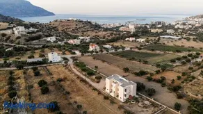 Olive Epavlis - Image 5
