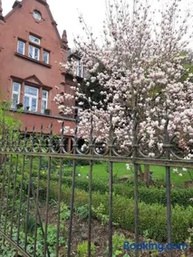 Ferienwohnung der besonderen Art in Villa am Glan - Image 1