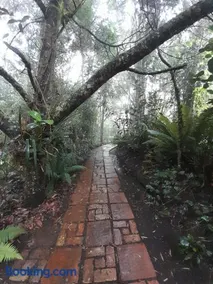 El Cobijo - Image 2