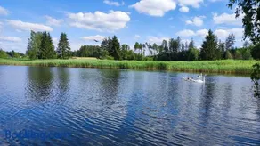 Na samotě u lesa - Image 3