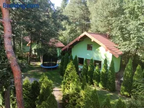 Niezapominajka jura - Image 1