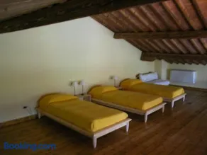 Fattoria di Migliarino - Image 2