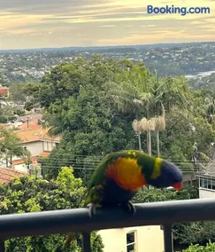 Mosman Views, 2bed, Parking, 15min Walk to Beach - Image 1
