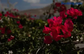 Ornella's & Laura's secret place - Image 3